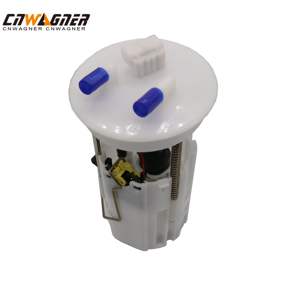 1GD919051B Gasoline Fuel Pump for Jetta And Audi Which Assembled with Original Auto Parts